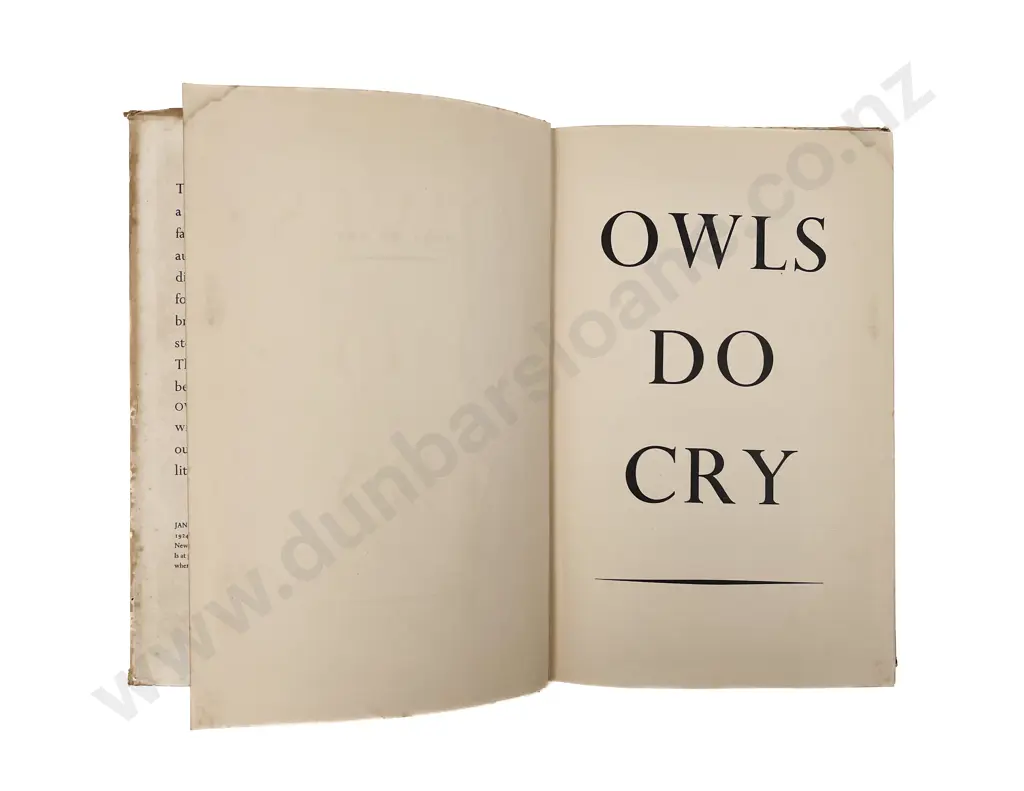 Frame Janet - Owls Do Cry Image 1++