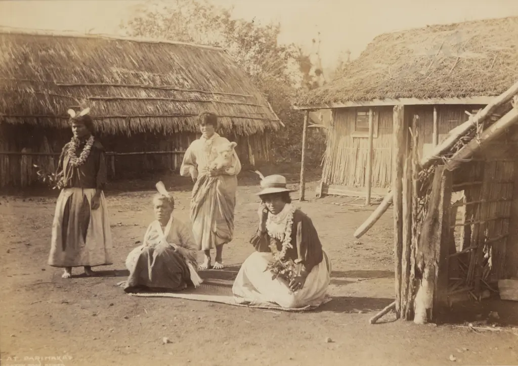 Burton Brothers - At Parihaka Image 1++