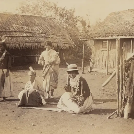 Burton Brothers - At Parihaka
