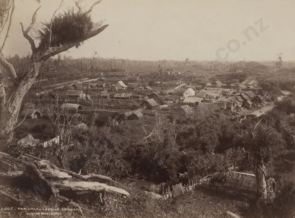 Burton Brothers - 4005 Parihaka - Looking Seaward Image 1++
