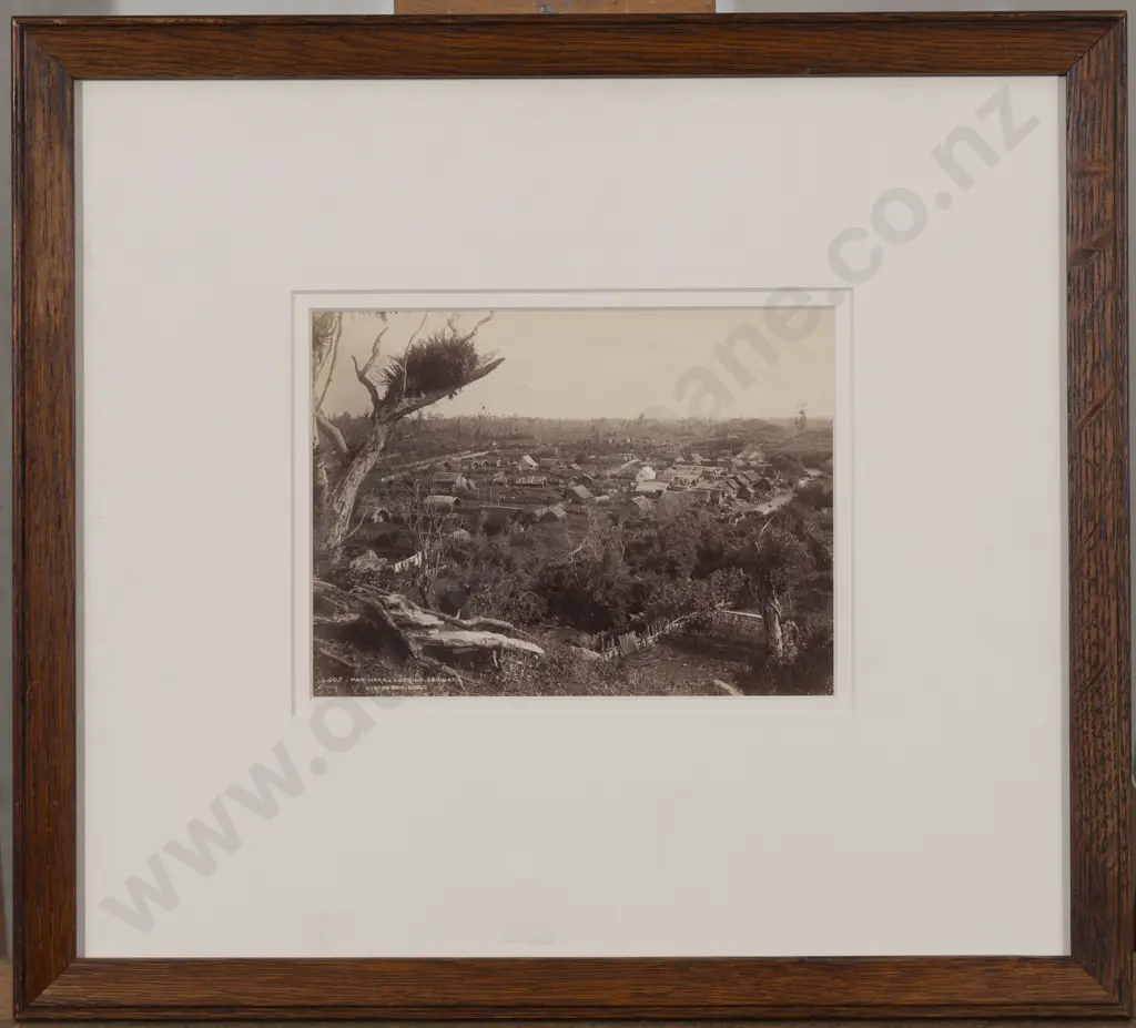 Burton Brothers - 4005 Parihaka - Looking Seaward Image 1++
