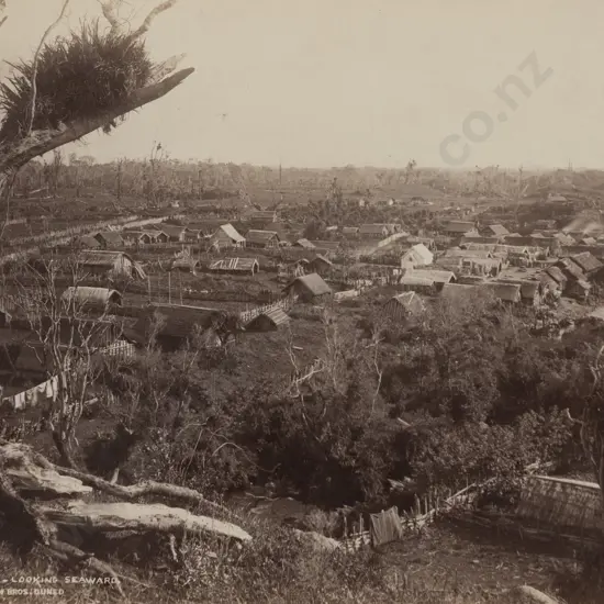 Burton Brothers - 4005 Parihaka - Looking Seaward