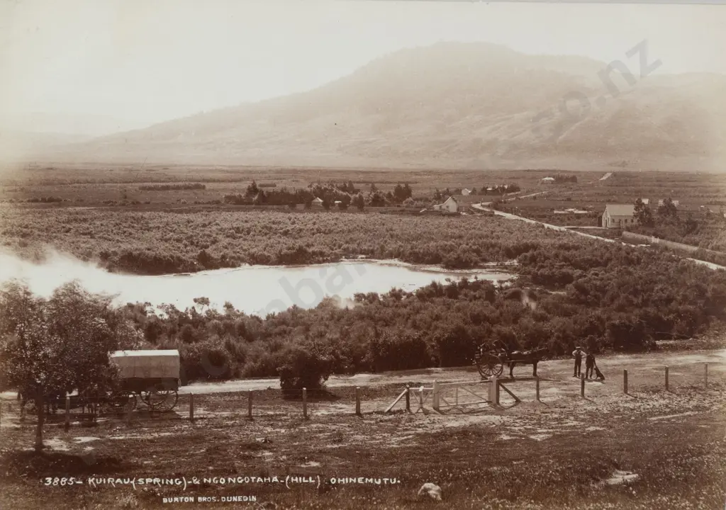 Burton Brothers - 3885 Kuirau (Spring) & Ngongotaha (Hill) Ohinemutu Image 1++