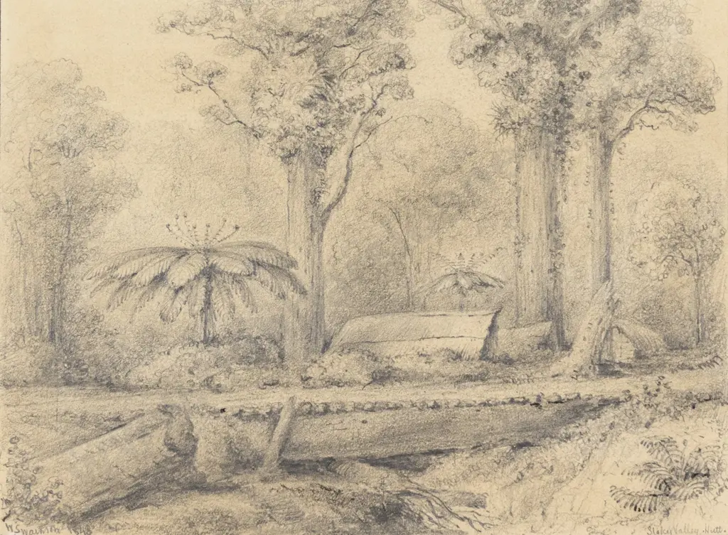 William Swainson - Stokes Valley Hutt Image 1++