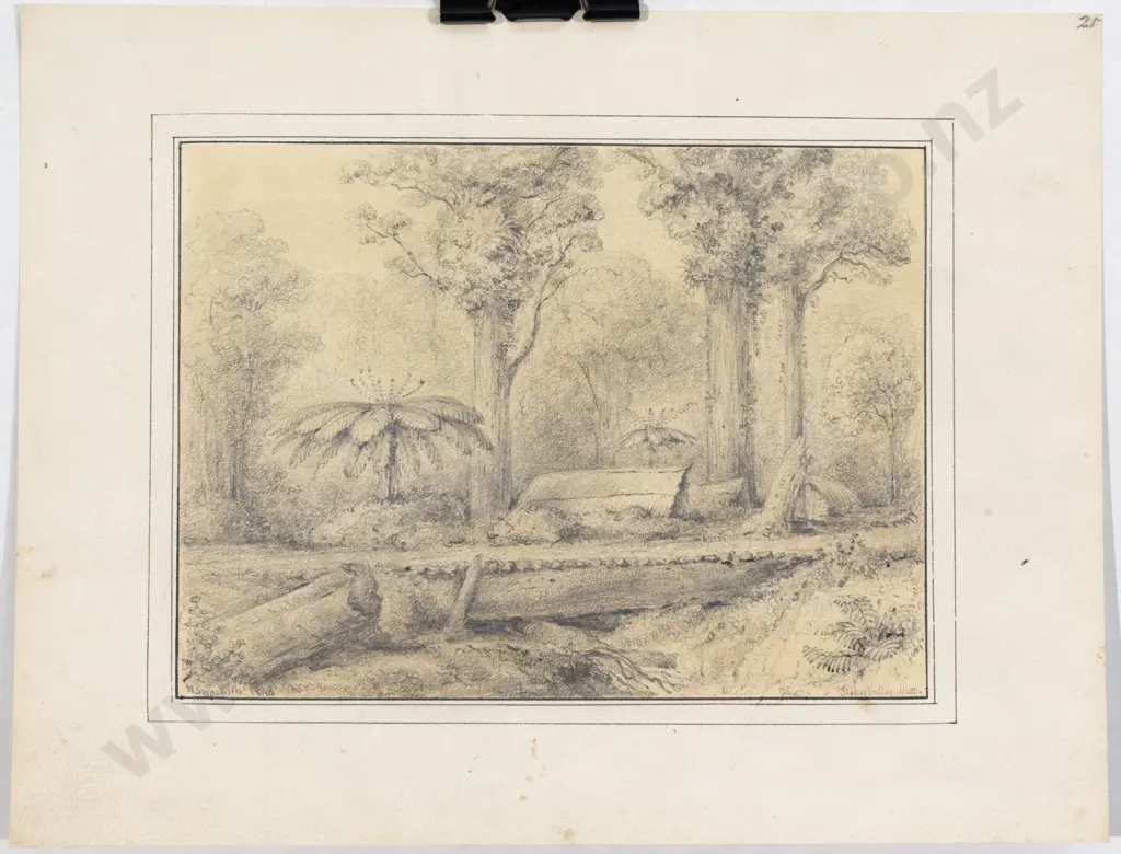 William Swainson - Stokes Valley Hutt Image 1++
