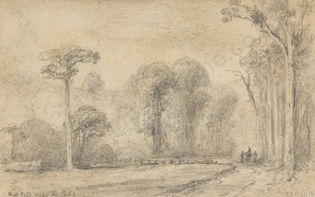 William Swainson - Looking up Image 1++