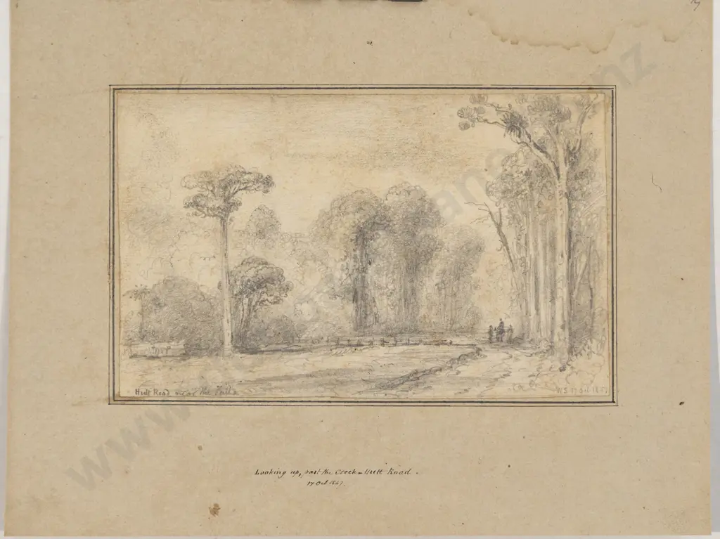 William Swainson - Looking up Image 1++