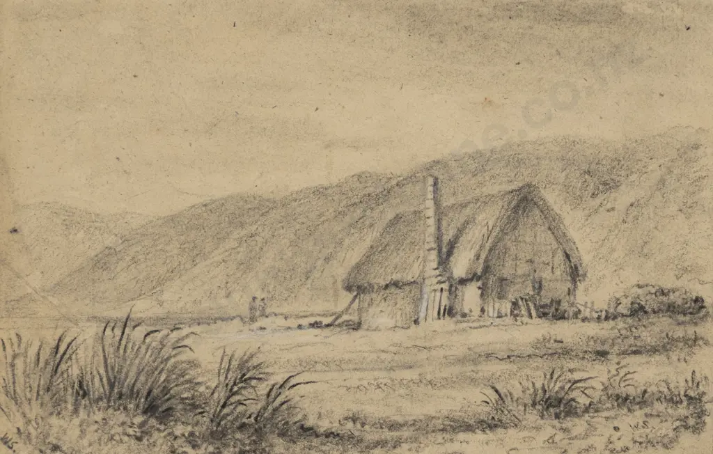 William Swainson - Settlers Cottage Petone Flat 1843 Image 1++