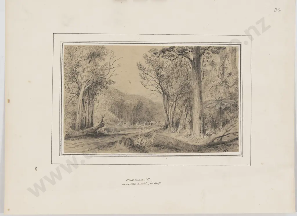 William Swainson - Hutt Road No near Old Rushes in 1847 Image 1++