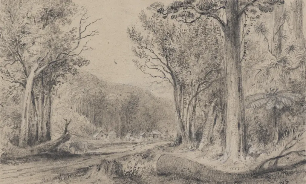 William Swainson - Hutt Road No near Old Rushes in 1847 Image 1++