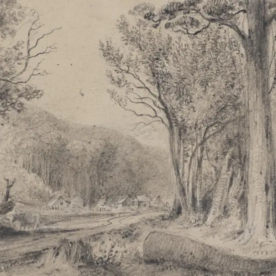William Swainson - Hutt Road No near Old Rushes in 1847