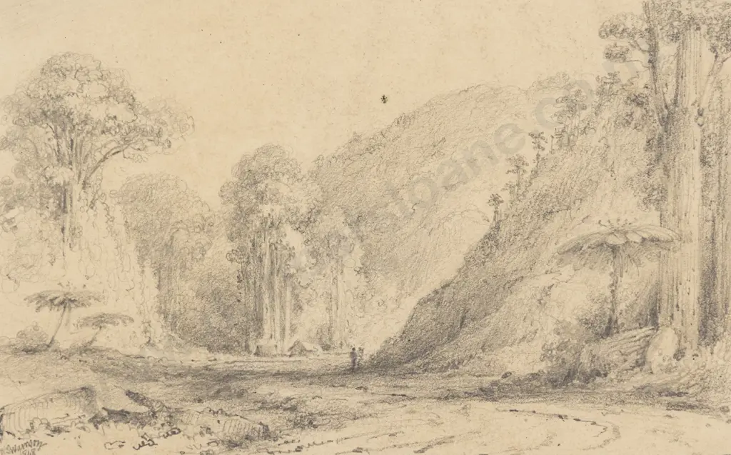 William Swainson - Entrance to the first Hutt Gorge - Lower Valley Image 1++