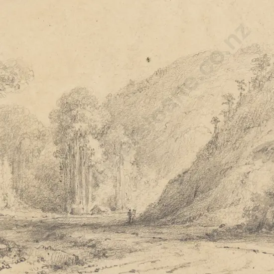 William Swainson - Entrance to the first Hutt Gorge - Lower Valley