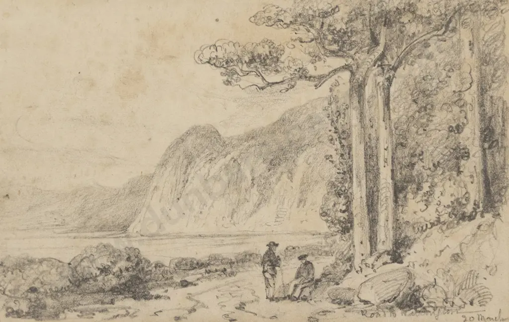 William Swainson - Road to Wellington - between Petone & Noranga Image 1++