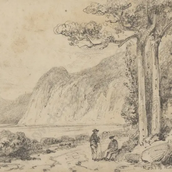 William Swainson - Road to Wellington - between Petone & Noranga