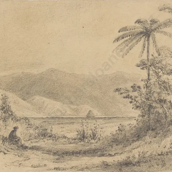 William Swainson - Lowry Bay from Petone flat (1846)