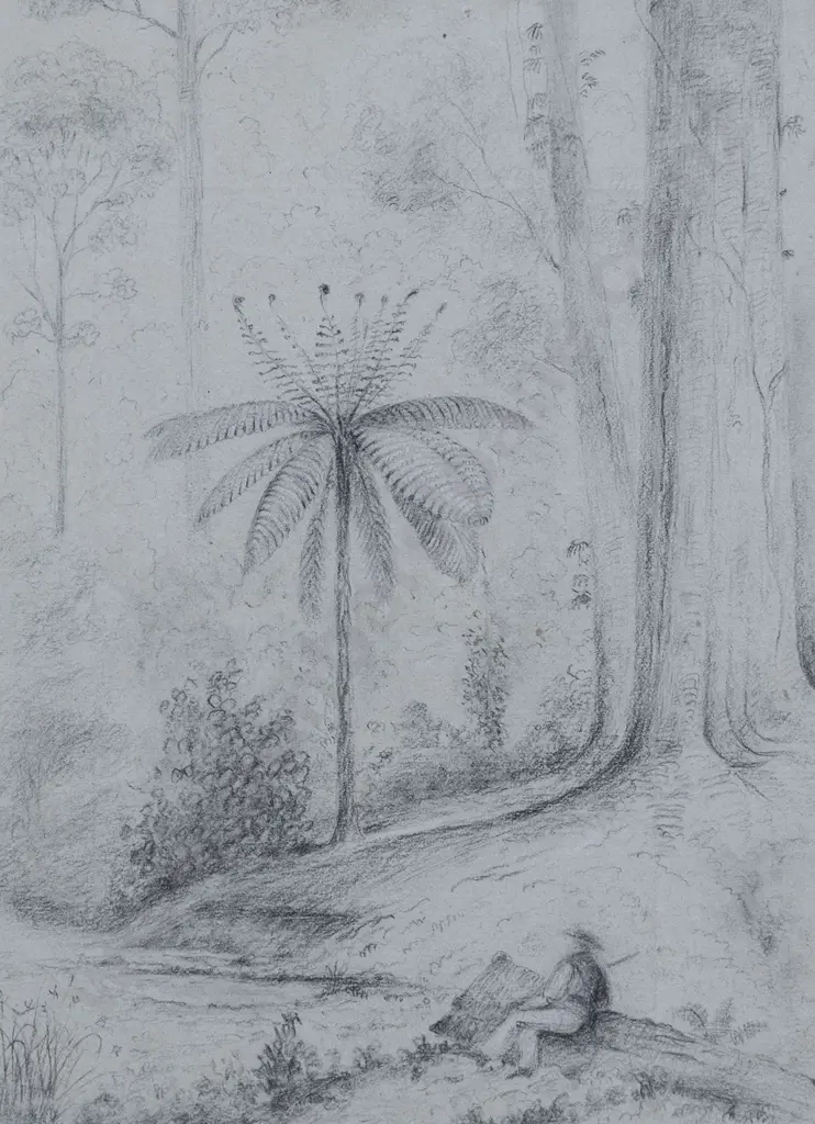 William Swainson - Untitled Image 1++