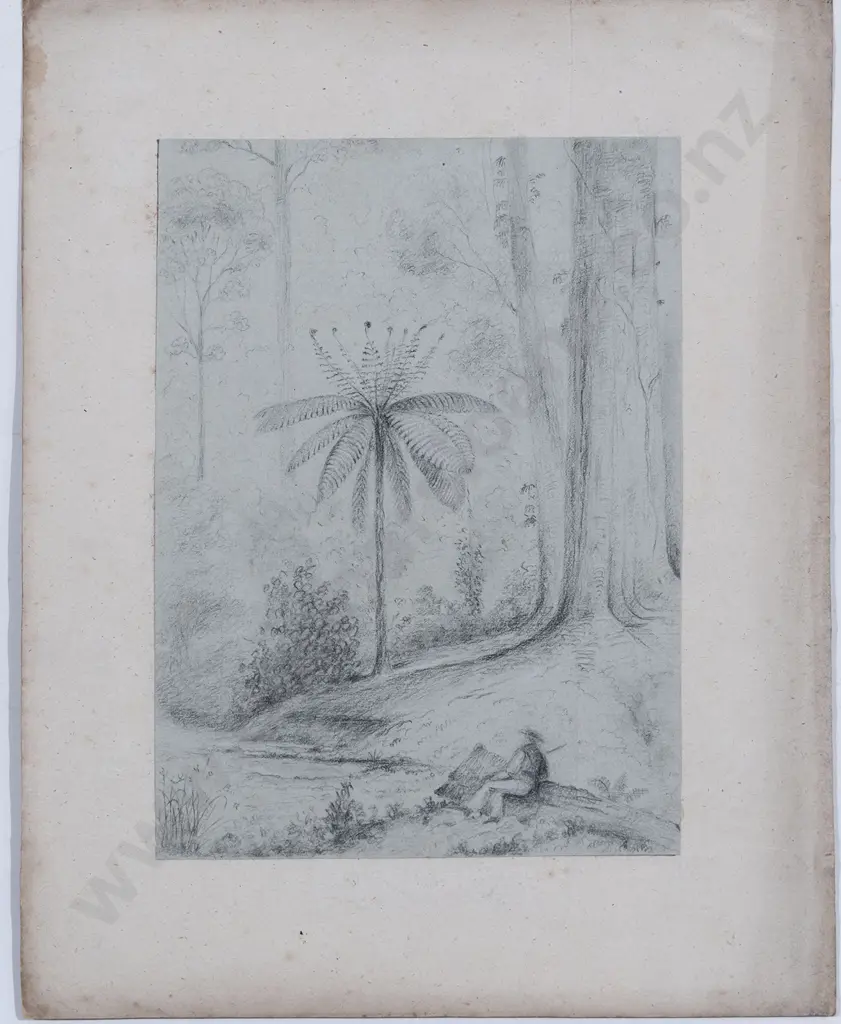 William Swainson - Untitled Image 1++