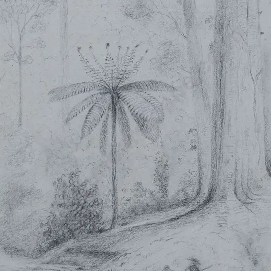 William Swainson - Untitled