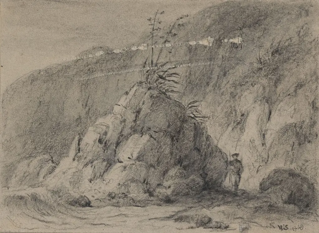 William Swainson - Rocks on the Porirua Coast (faults) Image 1++