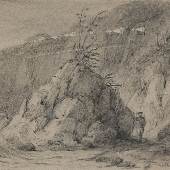 William Swainson - Rocks on the Porirua Coast (faults)
