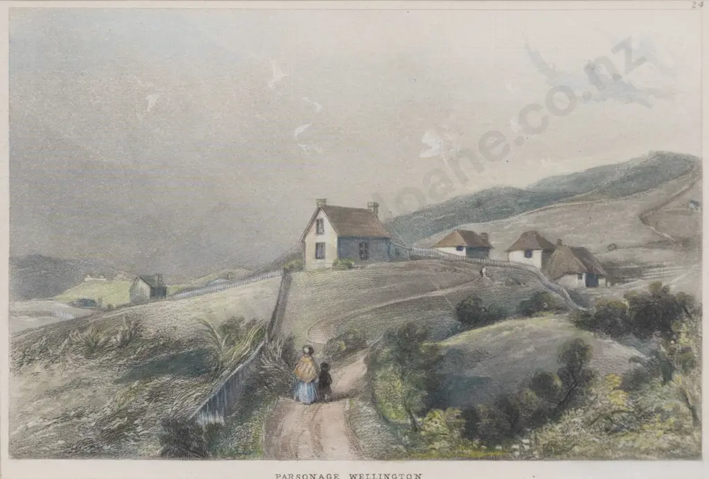 Three 19th Century New Zealand Coloured Prints After Brees & Barraud Image 1++