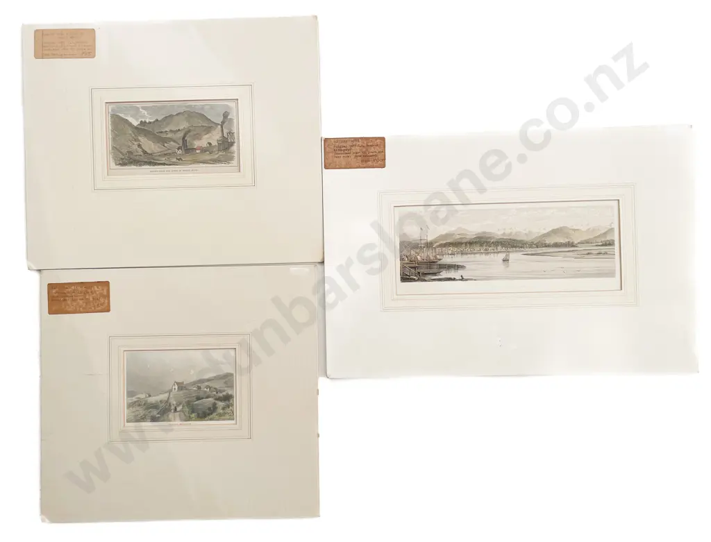 Three 19th Century New Zealand Coloured Prints After Brees & Barraud Image 1++
