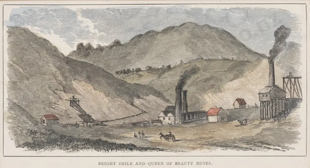 Three 19th Century New Zealand Coloured Prints After Brees & Barraud Image 1++