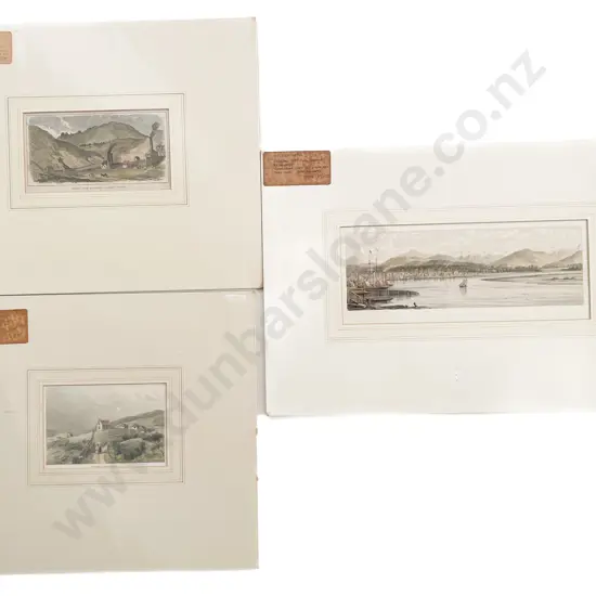 Three 19th Century New Zealand Coloured Prints After Brees & Barraud
