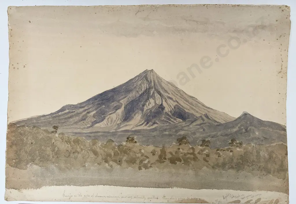 Francis Hamar Arden - A View of Omata Stockade New Plymouth Image 1++