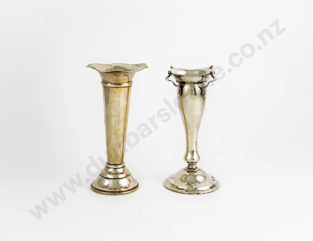 Two S/S Specimen Vases Image 1++