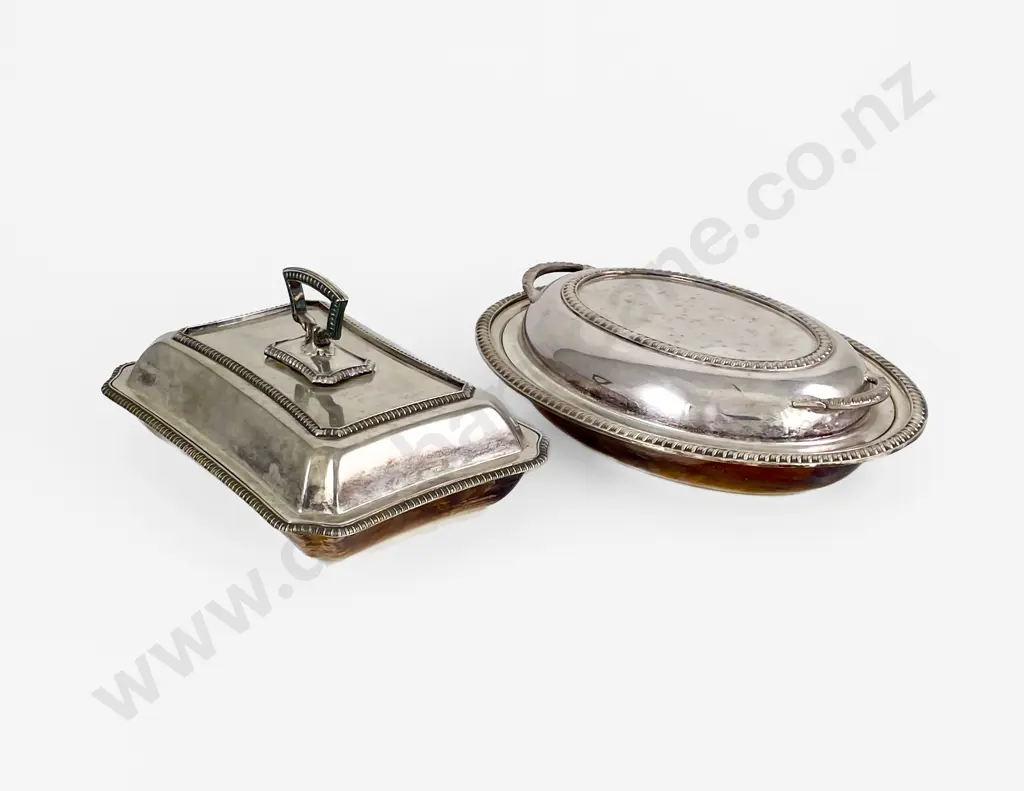 2 S/P Entree Dishes Image 1++