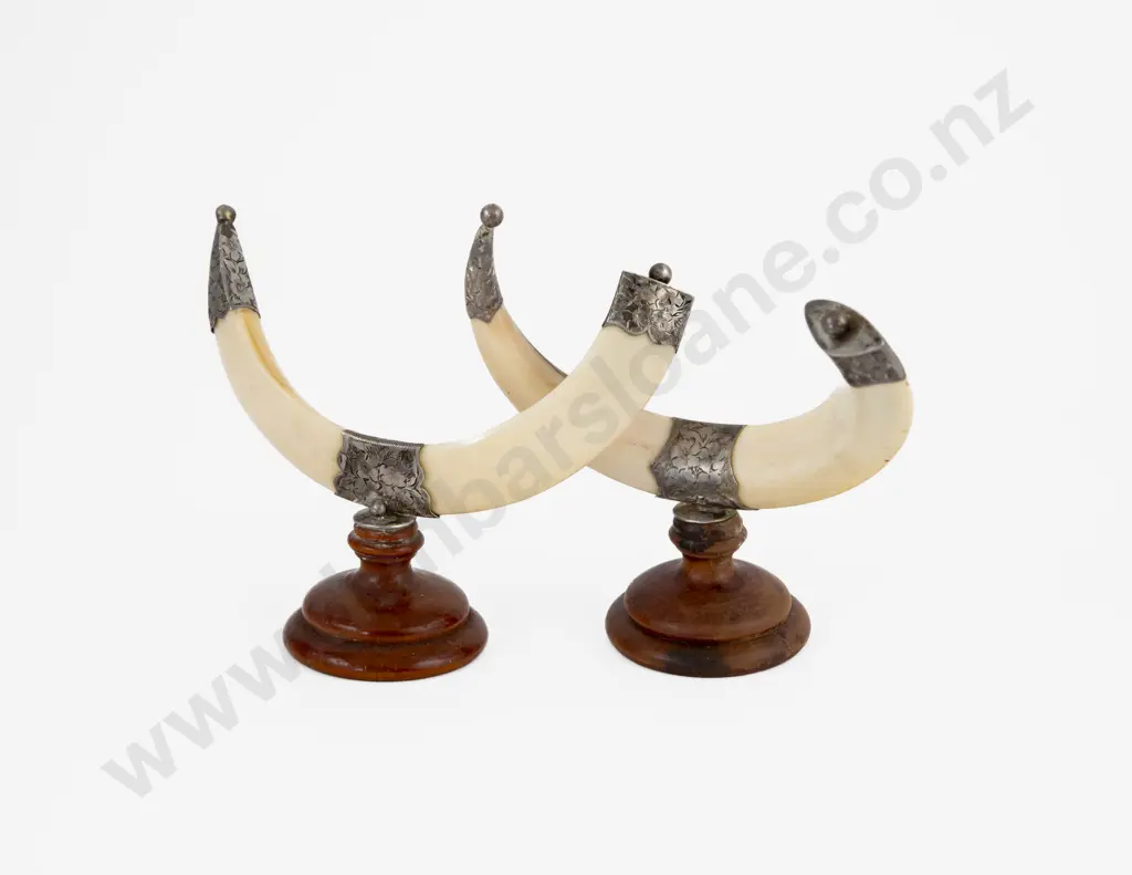 Pair Of Boar Tusk Knife Stands Image 1++