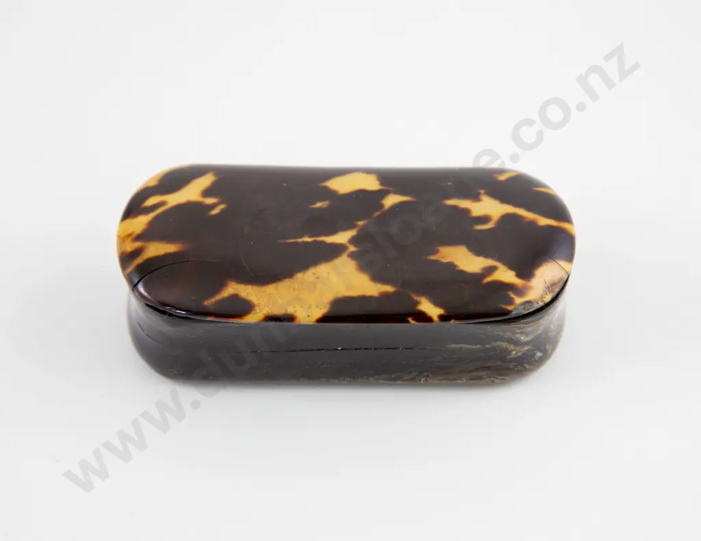 Victorian Tortoiseshell Snuff Box Image 1++