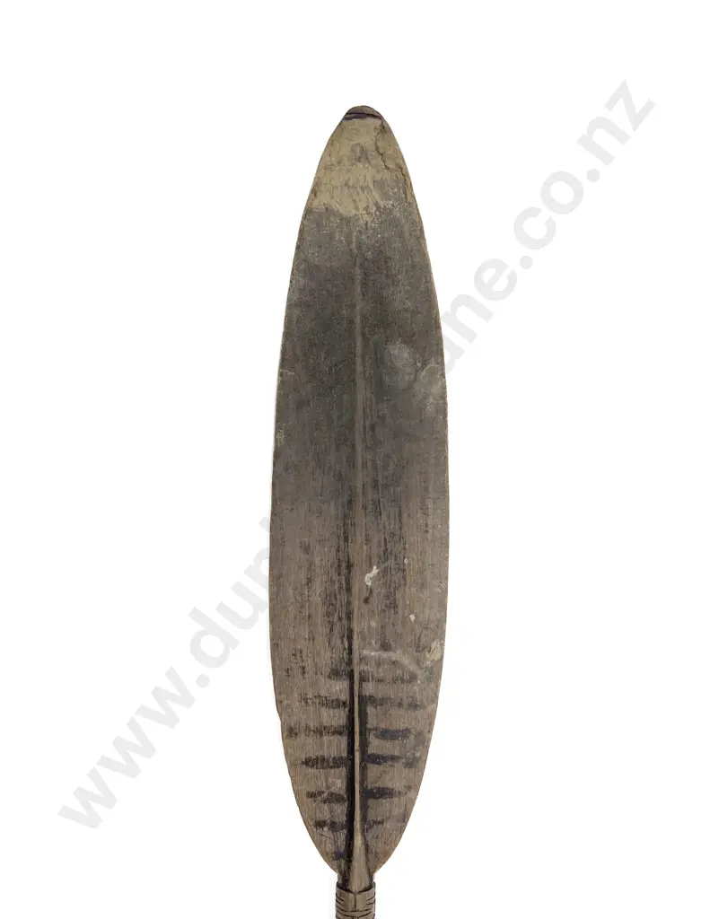 A Ramu River Paddle From Papua New Guinea Image 1++
