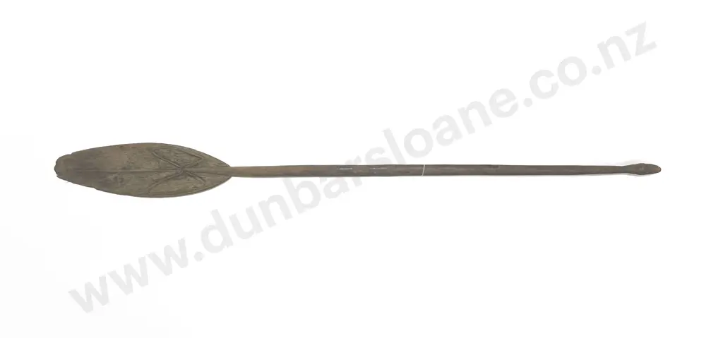 A PNG Paddle Image 1++