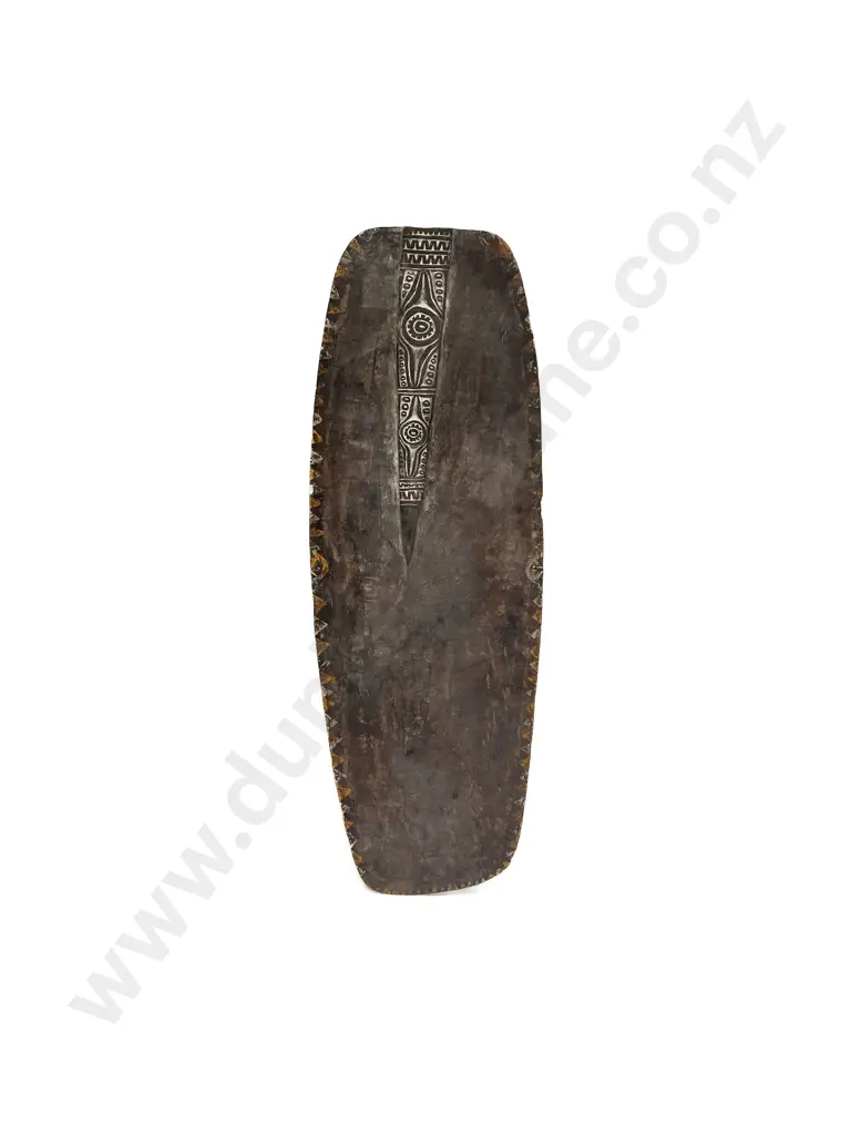 A Ramu River Shield From Papua New Guinea Image 1++