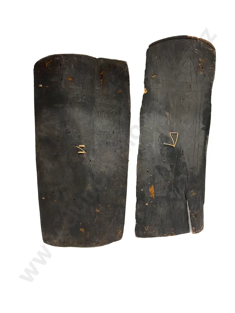 Two Large Ramu River Shields From Papua New Guinea Image 1++
