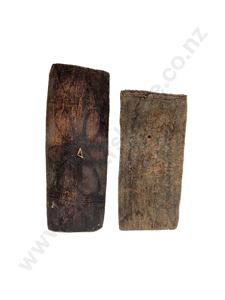 Two Large Ramu River Shields From Papua New Guinea Image 1++