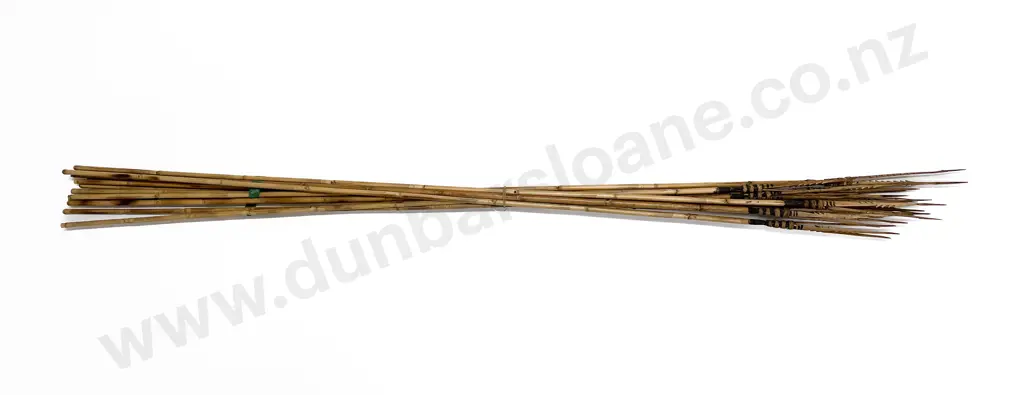 Twelve Papua New Guinea Bamboo Spears Image 1++