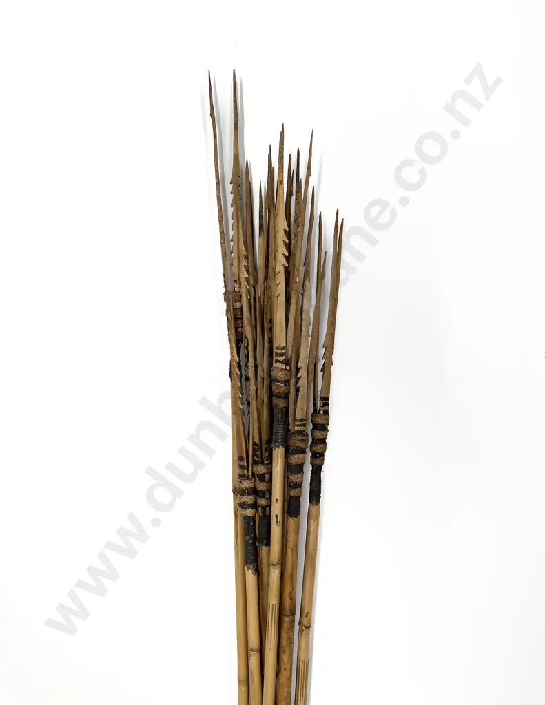 Twelve Papua New Guinea Bamboo Spears Image 1++