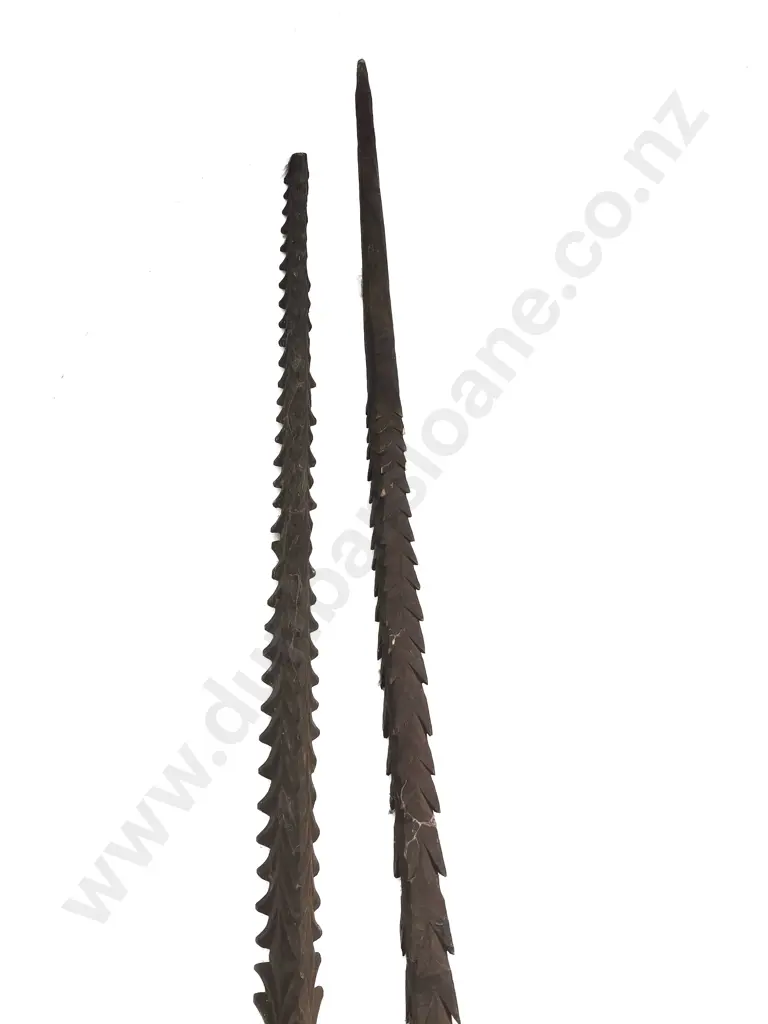 Two Ramu River Spears From Papua New Guinea Image 1++