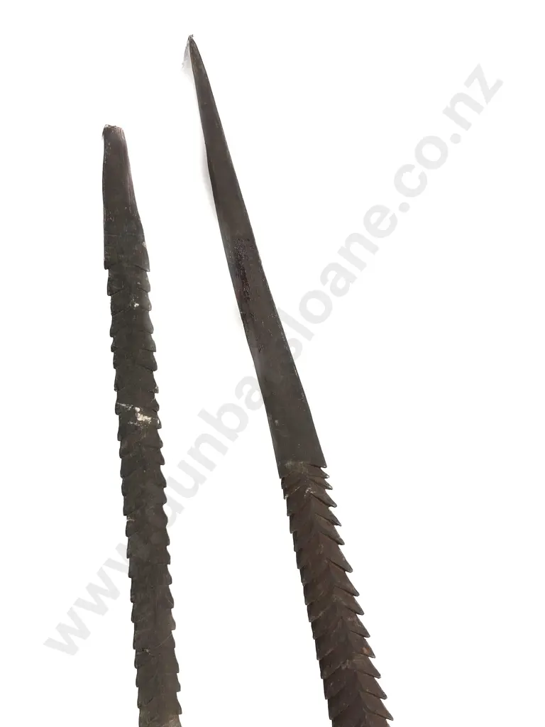 Two Ramu River Spears From Papua New Guinea Image 1++