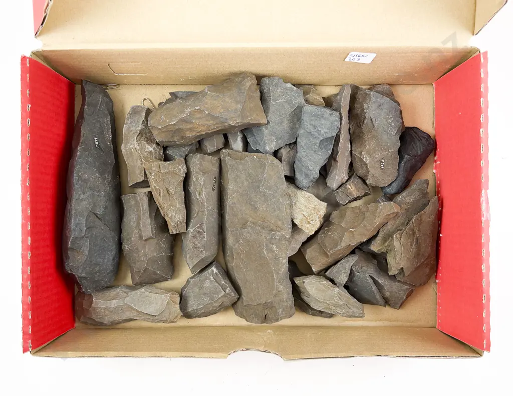 Box Quantity of Assorted Worked Stones From The Pitcairns Image 1++