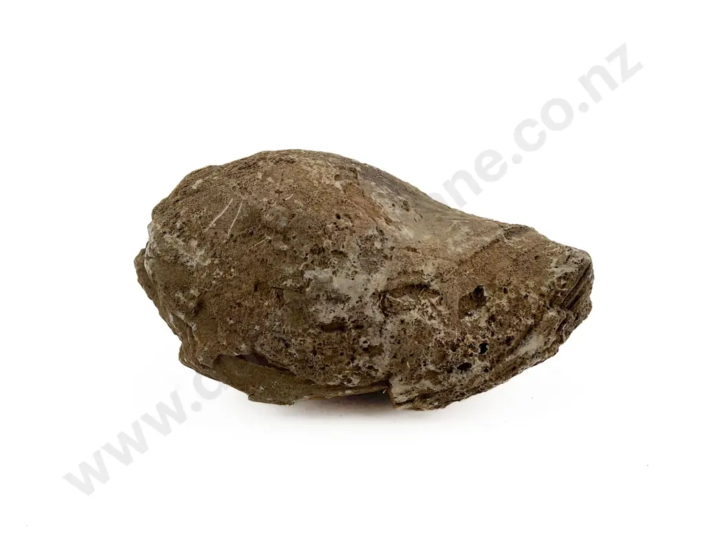 Volcanic Basalt Sharpening/Polishing Stone From The Pitcairn Islands Image 1++