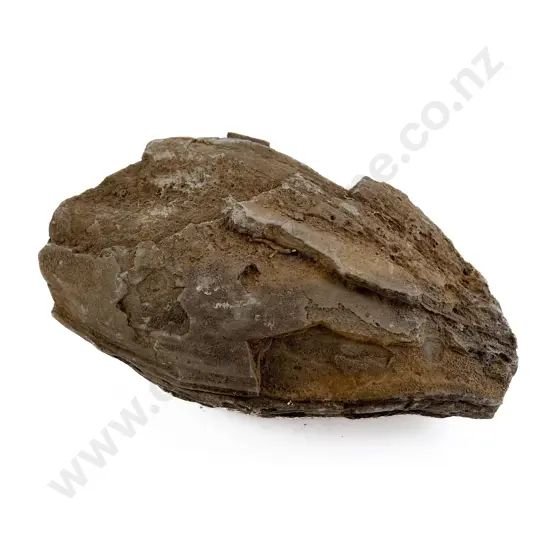 Volcanic Basalt Sharpening/Polishing Stone From The Pitcairn Islands
