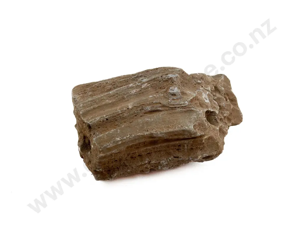 Volcanic Basalt Sharpening/Polishing Stone From The Pitcairn Islands Image 1++