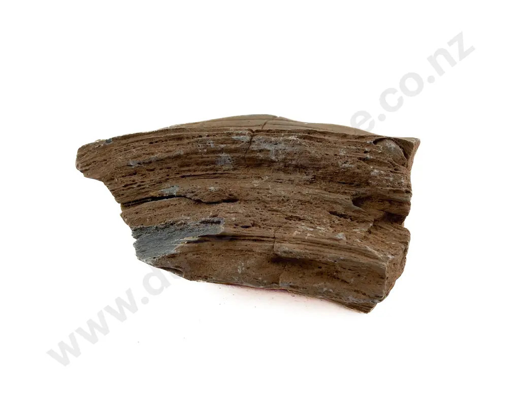 Volcanic Basalt Sharpening/Polishing Stone From The Pitcairn Islands Image 1++