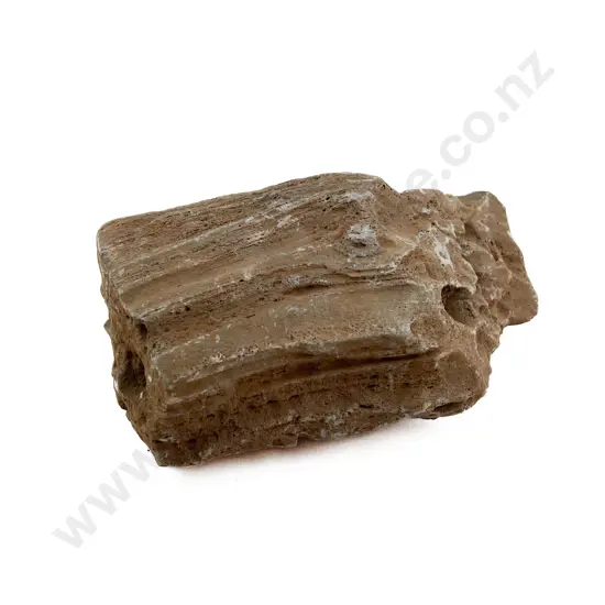 Volcanic Basalt Sharpening/Polishing Stone From The Pitcairn Islands