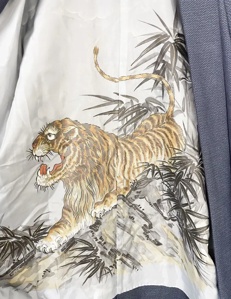 Japanese Kimono With Other Obi Image 1++